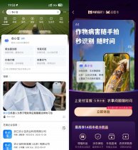 红包活动支付宝农小宝首次提问得1.88亓-新发现热点
